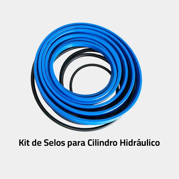 Kit-de-Selos-para-Cilindro-Hidraulico.jpg