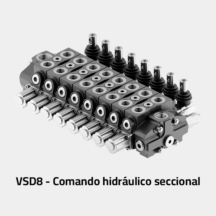 VSD8.jpg