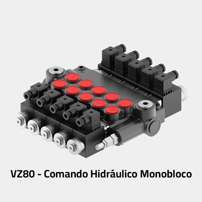 VZ80.jpg